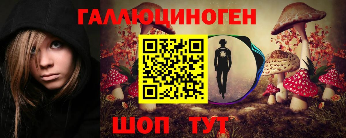 Псилоцибиновые грибы GOLDEN TEACHER  Вход с VPN  Псилоцибиновые грибы MAGIC MUSHROOMS  купить наркотик  Зеленокумск 
